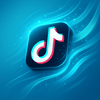 Tiktok Services - boosterland